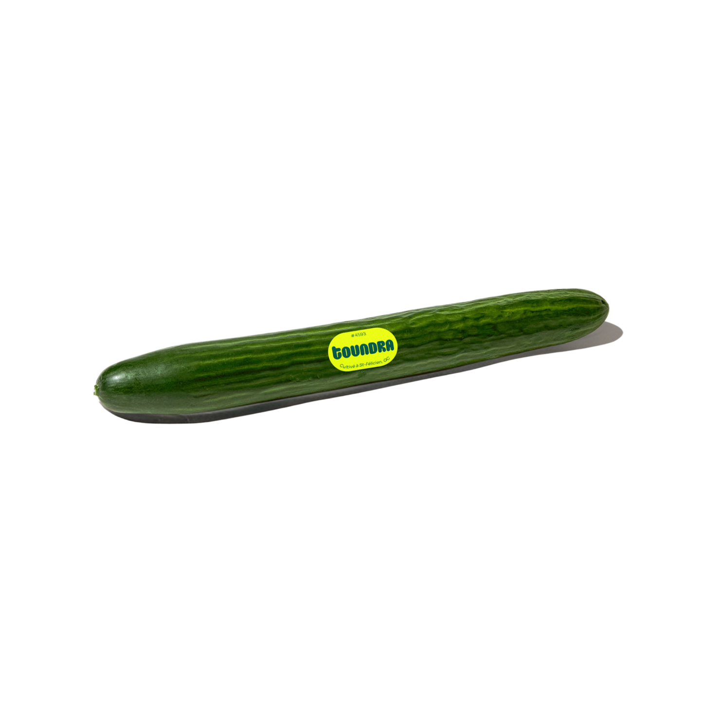 English Cucumber