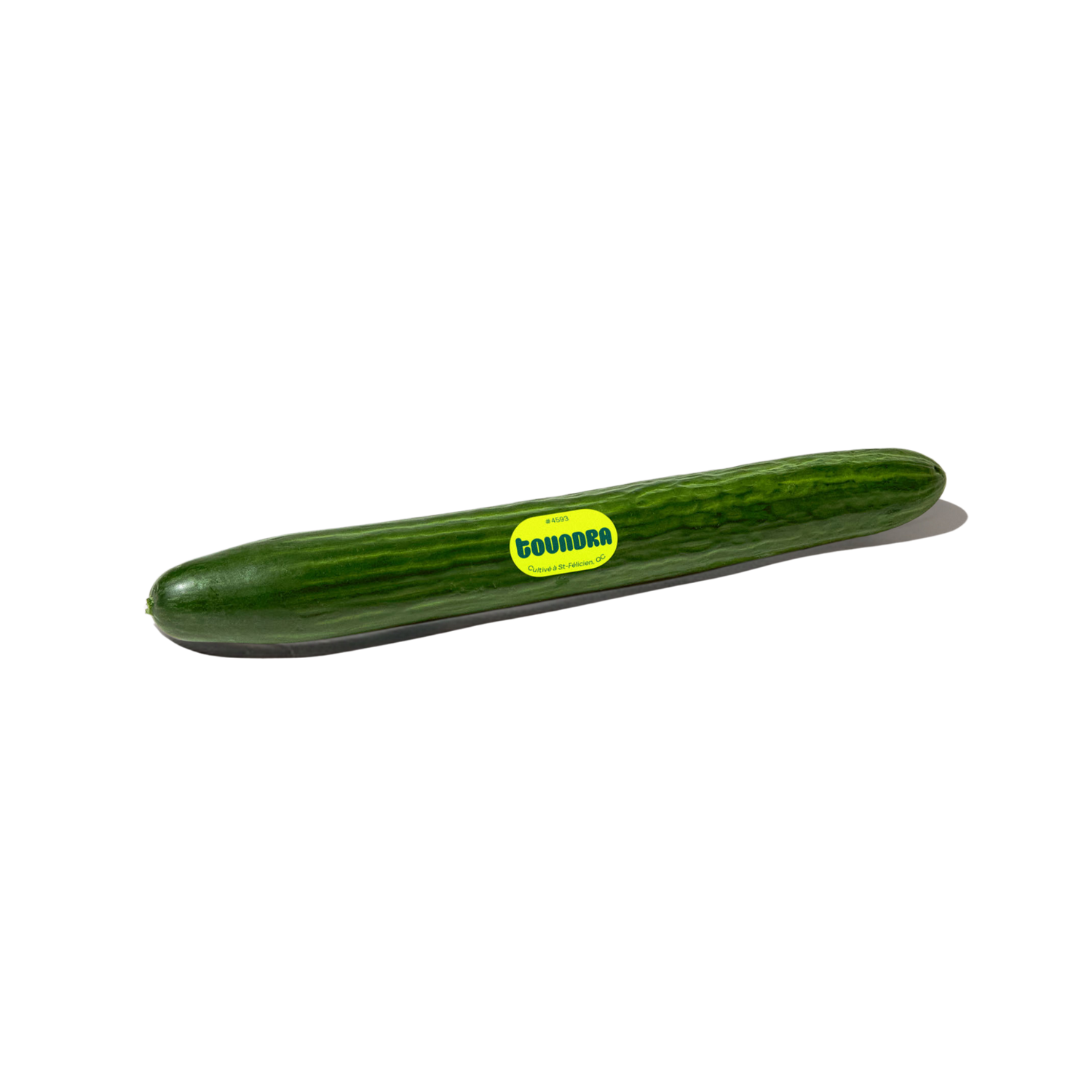 English Cucumber
