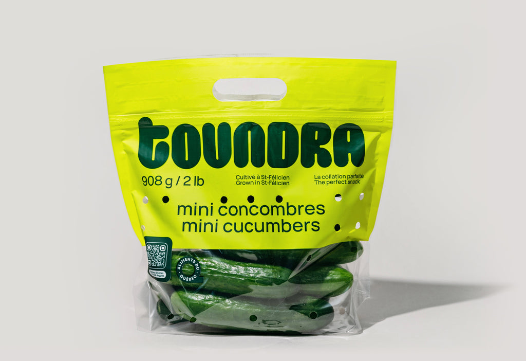 Mini concombres