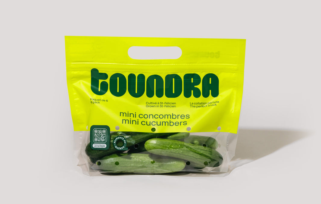 Mini concombres