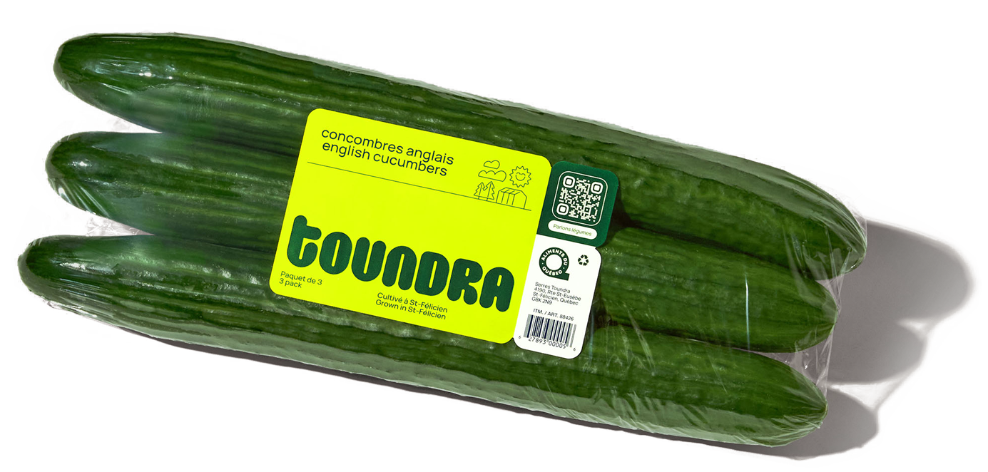 English cucumber