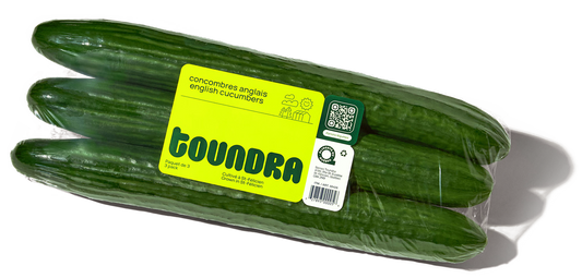 English cucumber